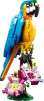 LEGO® Creator 3 v 1 31136 Exotický papagáj (2)