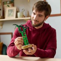 LEGO® Botanicals 10344 Bambus šťastia (1)