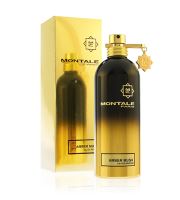 Montale Amber Musk EDP 100 ml unisex