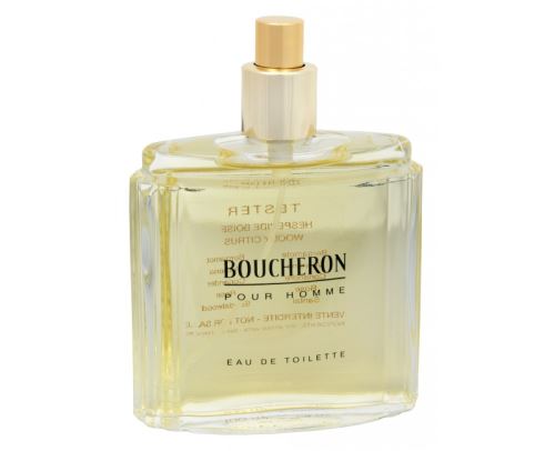 Boucheron Pour Homme EDT 100 ml pre mužov TESTER