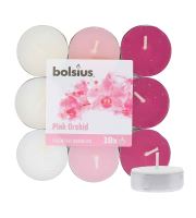 Bolsius Scented Tealights Orchid 4h čajová sviečka 18 ks
