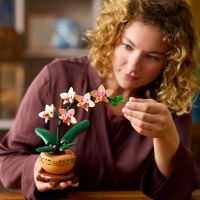 LEGO® Botanicals 10343 Miniatúrna orchidea (1)