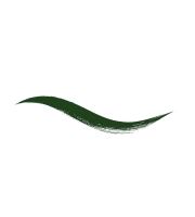 Armaf Beaute DipIn Liq Eyeliner vodeodolná očná linka 4 ml (5)