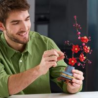 LEGO® Botanicals 10369 Marhuľa japonská (1)