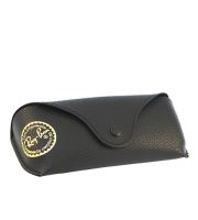 Ray-Ban RB4207 Wayfarer liteforce Slnečné okuliare unisex 55x17x150 mm šedá (1)