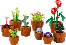 LEGO® Botanicals 10329 Miniatúrne rastliny (2)