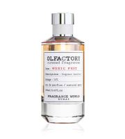 Fragrance World Olfactory Music Fest parfumovaná voda pre mužov 100 ml (1)