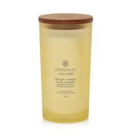 Chesapeake Bay Strength + Energy vonná sviečka 355 g