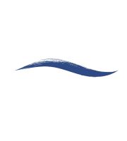 Armaf Beaute DipIn Liq Eyeliner vodeodolná očná linka 4 ml (8)