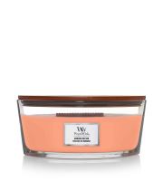 WoodWick Manuka Nectar vonná sviečka s dreveným knôtom 453,6 g
